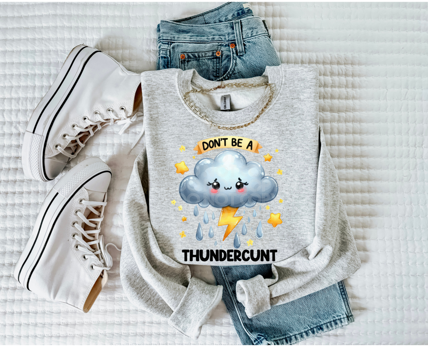 Don't Be A Thunder #4231 - Ready to Press DTF Transfer Full Color - Pro Blanks