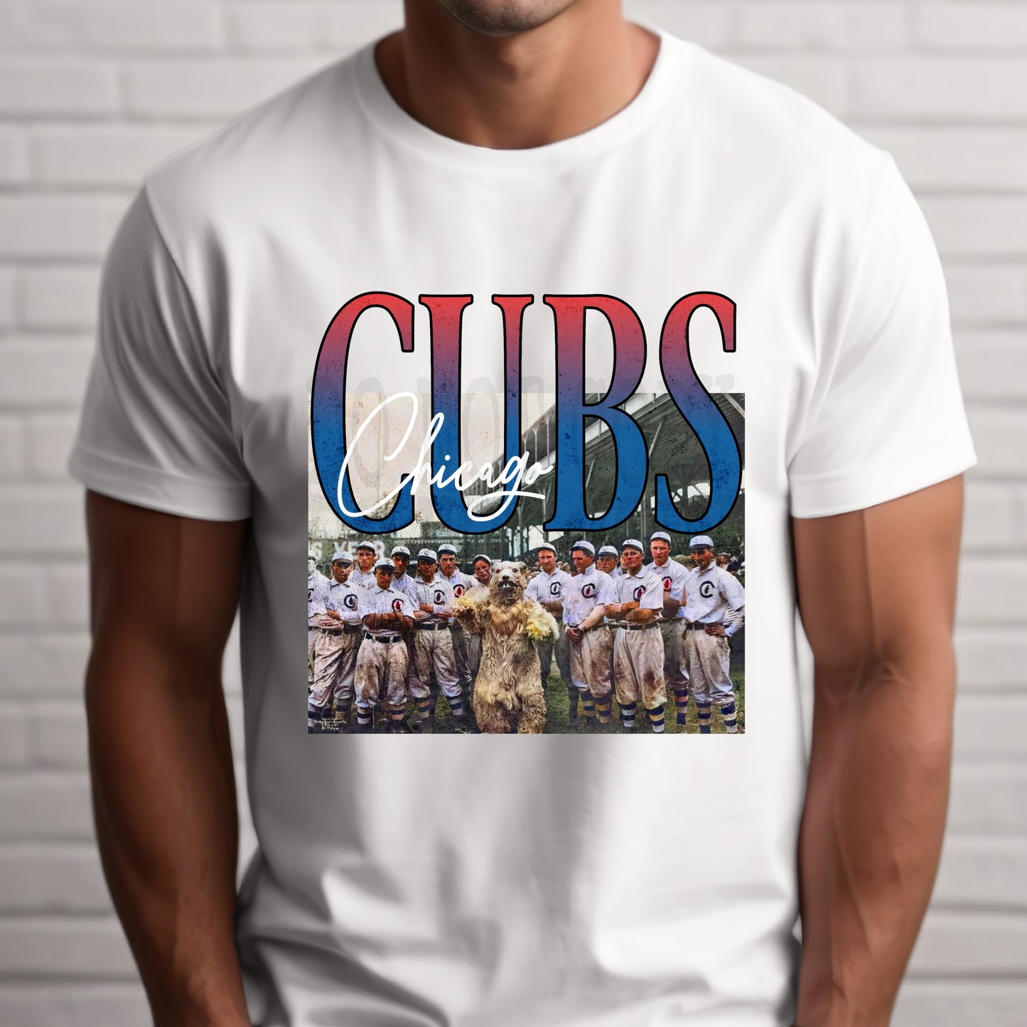Cubs #4257 - Ready to Press DTF Transfer Full Color - Pro Blanks