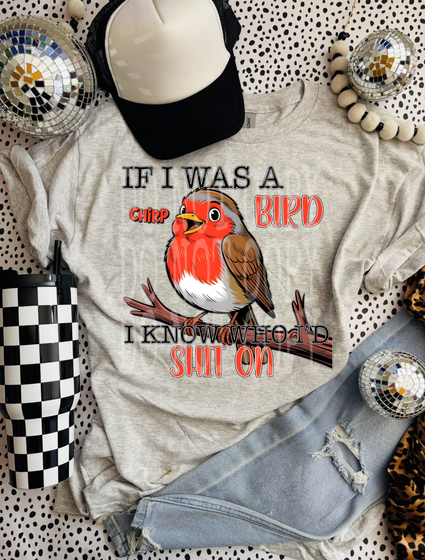 If I Was A Bird #5194 - Ready to Press DTF Transfer Full Color - Pro Blanks