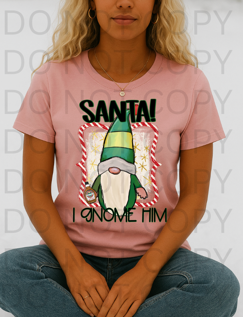 Santa! I Gnome Him #5811 - Ready to Press DTF Transfer Full Color
