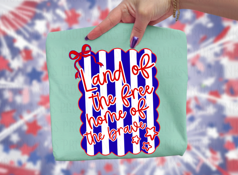 Land Of The Free & Home Of The Brave - $2 Transfer Thursday - ADULT 11 Inch Transfer