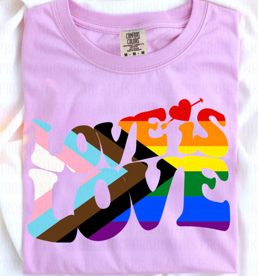Love Is Love - $2 Transfer Thursday - ADULT 11 Inch Transfer