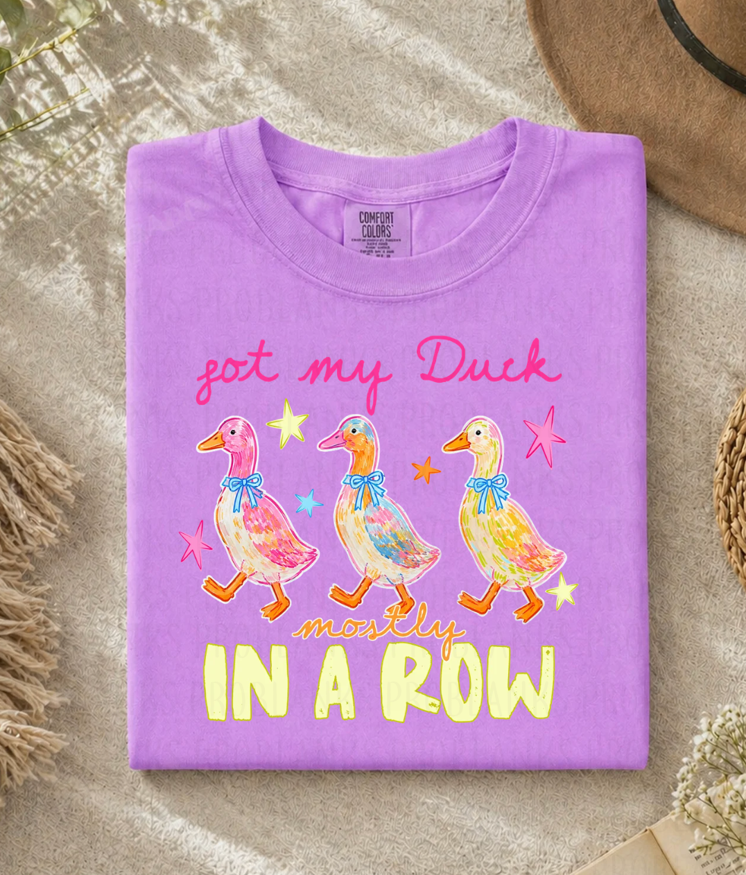 Got My Ducks Mostly In A Row - $2 Transfer Thursday - ADULT 11 Inch Transfer