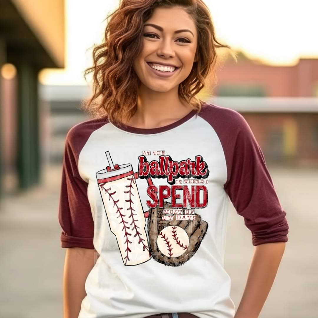 At The Ballpark Baseball #1529 - Ready to Press DTF Transfer Full Color - Pro Blanks