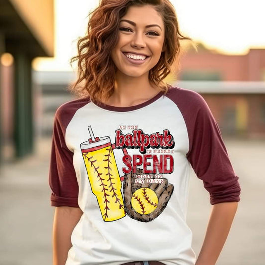 At The Ballpark Softball #1530  - Ready to Press DTF Transfer Full Color - Pro Blanks