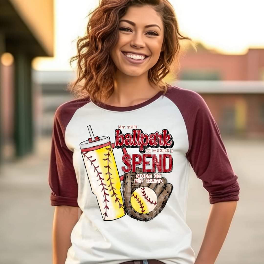 At The Ballpark Softball Baseball #1531  - Ready to Press DTF Transfer Full Color - Pro Blanks