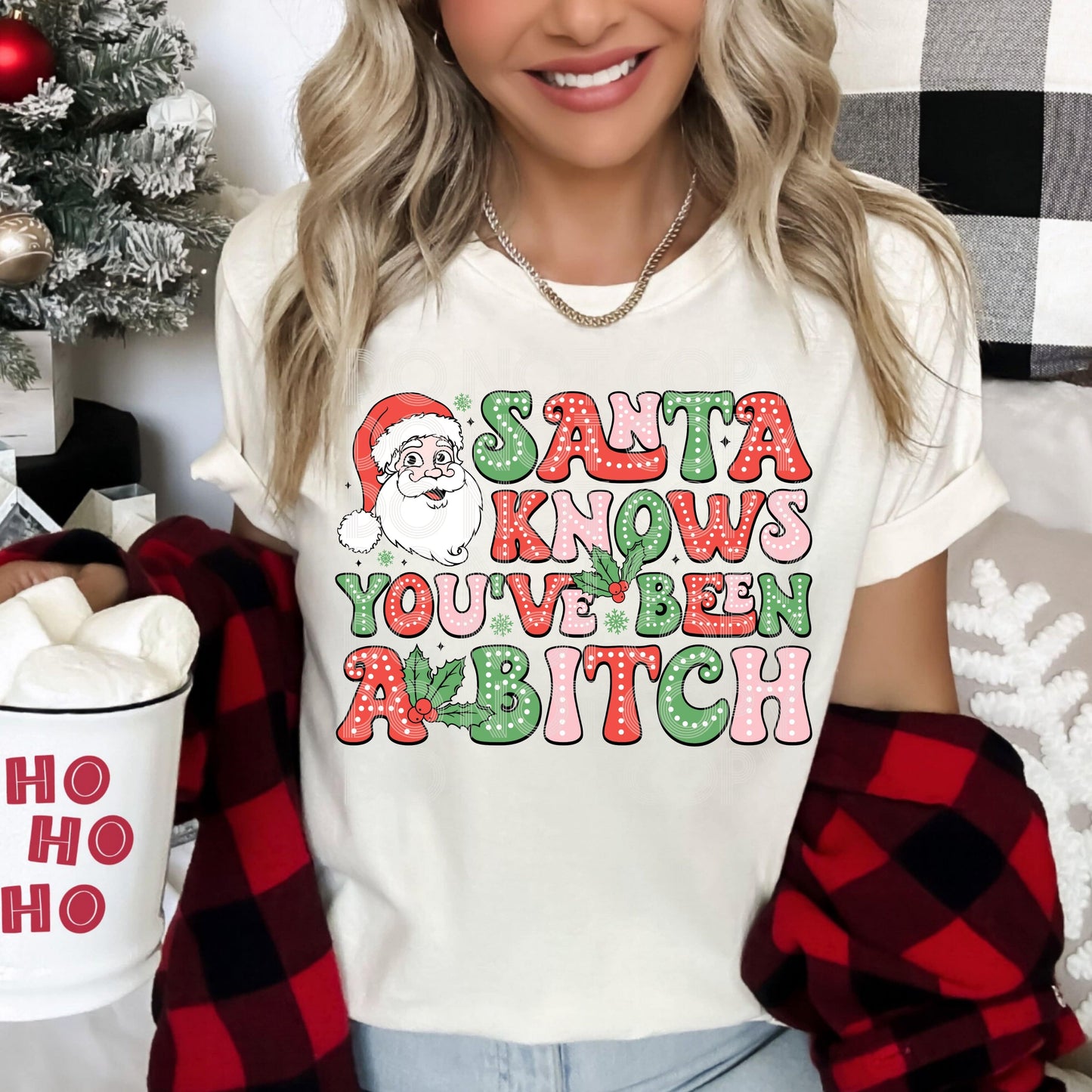 Santa Knows You've Been A B #4110 - Ready to Press DTF Transfer Full Color - Pro Blanks
