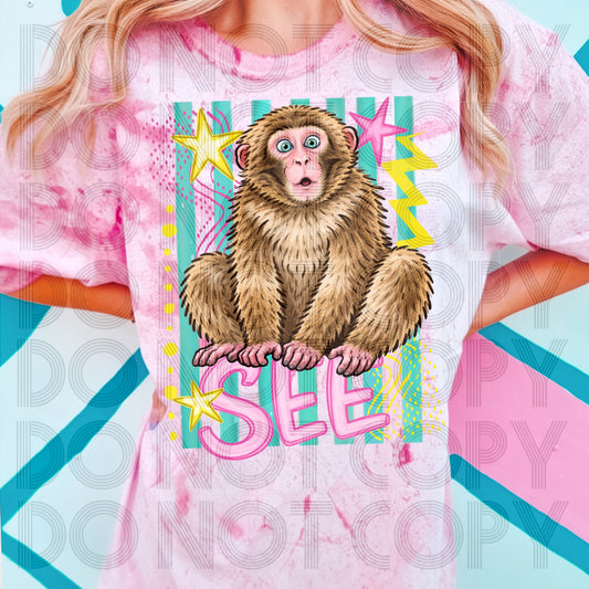Retro Colors Monkey See #6652 - Ready to Press DTF Transfer Full Color