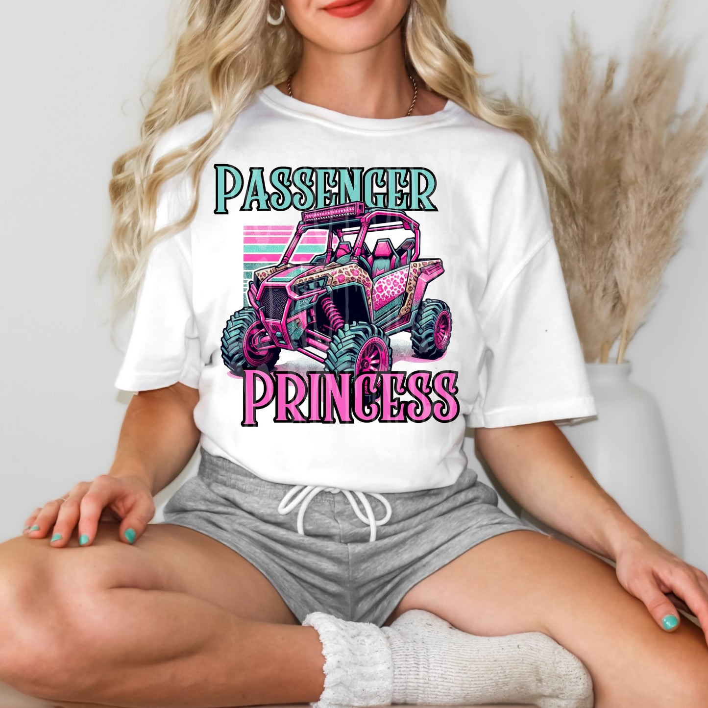 Passenger Princess #4611 - Ready to Press DTF Transfer Full Color - Pro Blanks
