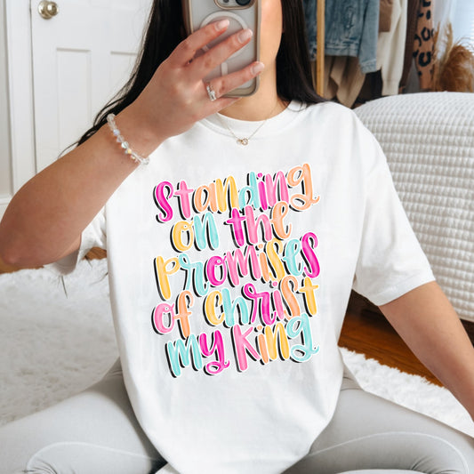 Promises of Christ #4839 - Ready to Press DTF Transfer Full Color