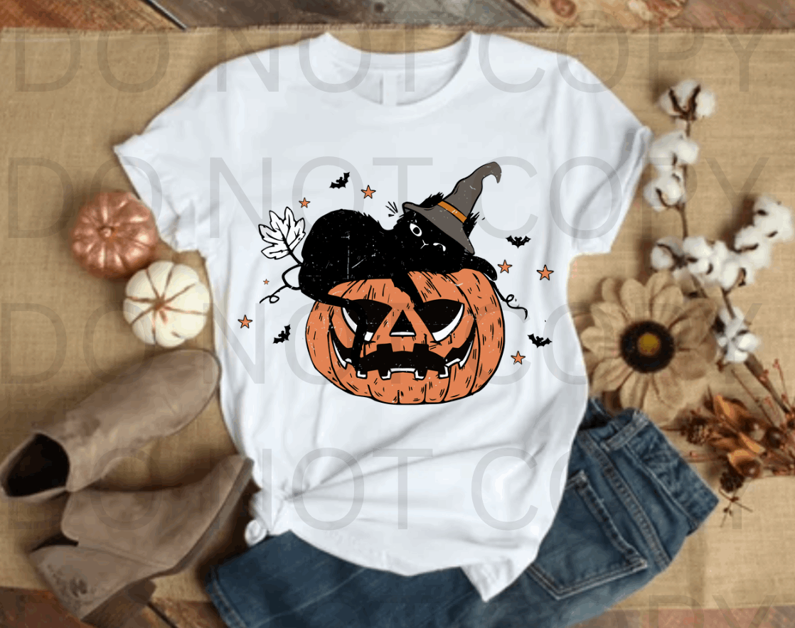 Black Cat & Pumpkin #5531- Ready to Press DTF Transfer Full Color