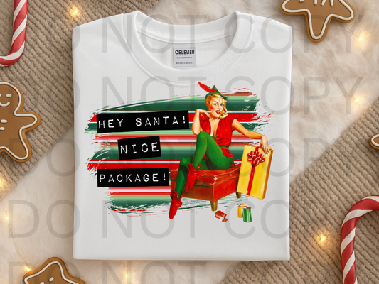 Hey Santa! Nice Package #6018 - Ready to Press DTF Transfer Full Color