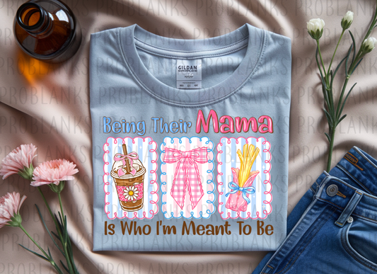 Being Their Mama Is Who Im Meant To Be #6450 - Ready to Press DTF Transfer Full Color