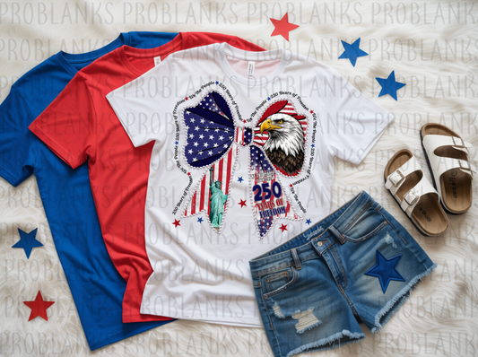 250 Years Bow #6490 - Ready to Press DTF Transfer Full Color