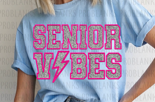 Faux Embroidery Senior Vibes #6518 - Ready to Press DTF Transfer Full Color