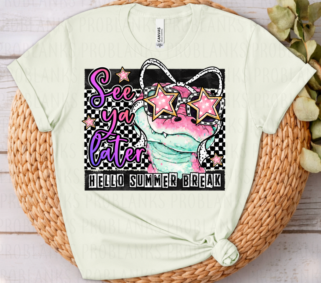 See Ya Later, Hello Summer Break (Pink) - $2 Transfer Thursday - ADULT 11 Inch Transfer
