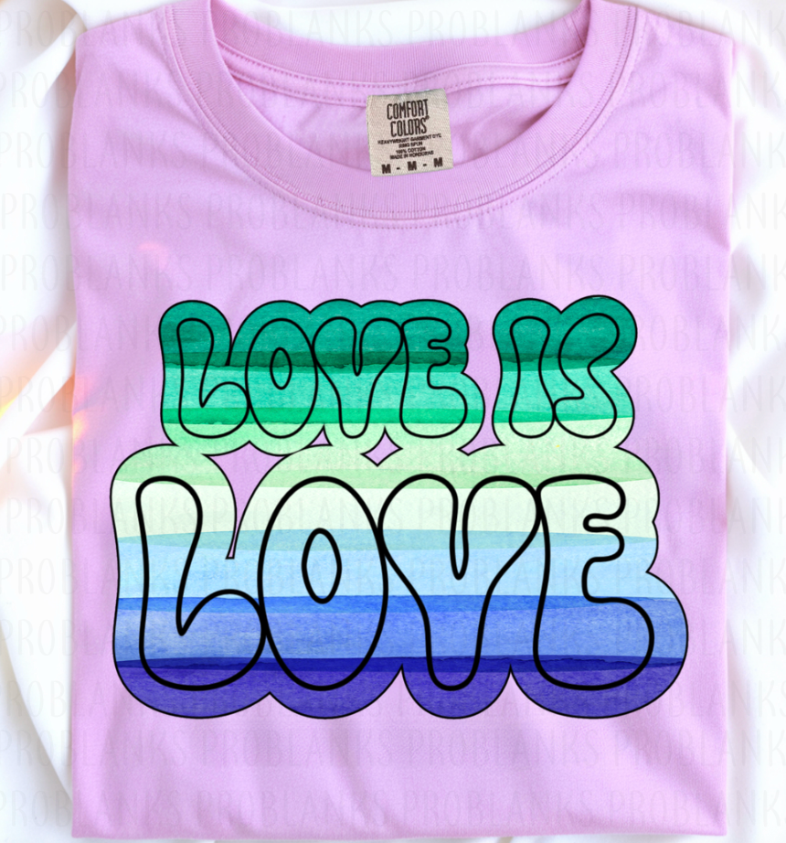 Love Is Love - $2 Transfer Thursday - ADULT 11 Inch Transfer