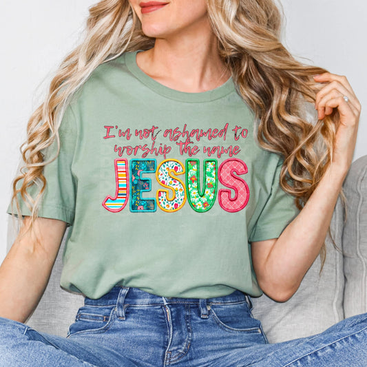 Not Ashamed #3019 - Ready to Press DTF Transfer Full Color - Pro Blanks